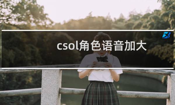 csol角色语音加大