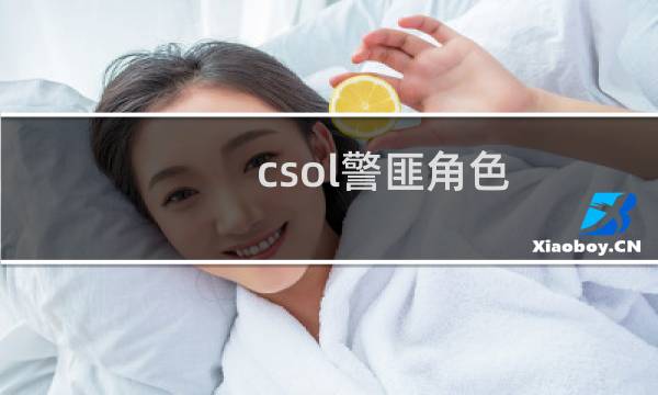 csol警匪角色