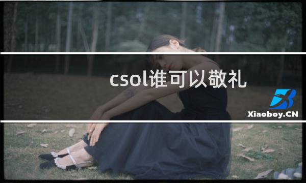 csol谁可以敬礼