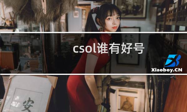 csol谁有好号