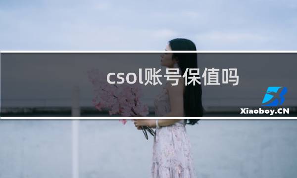 csol账号保值吗