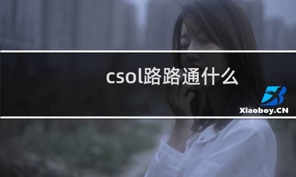 csol路路通什么