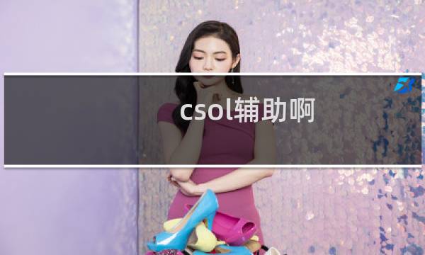 csol辅助啊