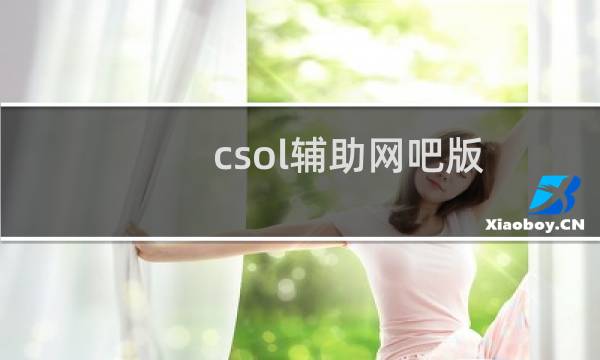csol辅助网吧版