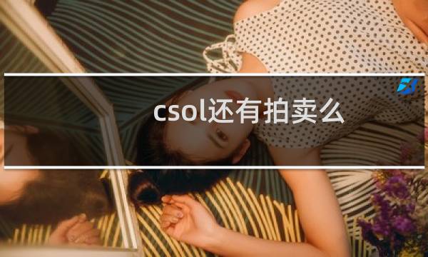 csol还有拍卖么