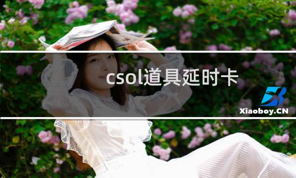 csol道具延时卡