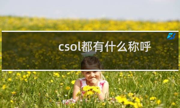 csol都有什么称呼