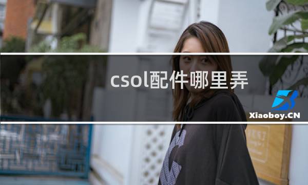 csol配件哪里弄