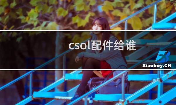 csol配件给谁