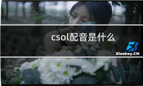 csol配音是什么