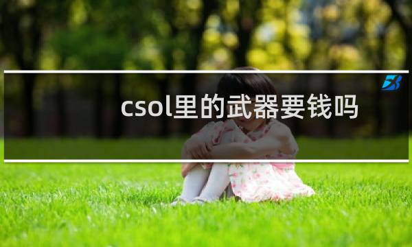 csol里的武器要钱吗