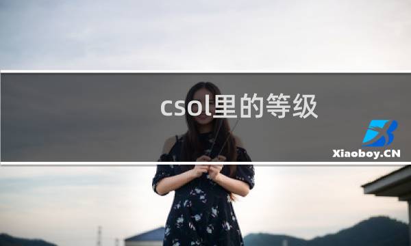 csol里的等级