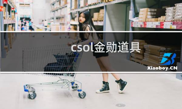 csol金勋道具