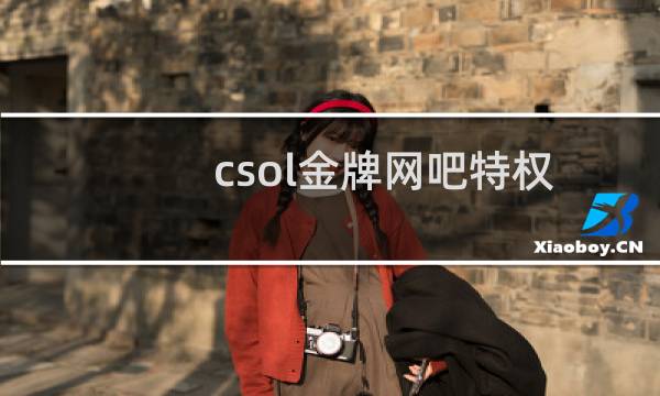 csol金牌网吧特权