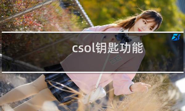 csol钥匙功能
