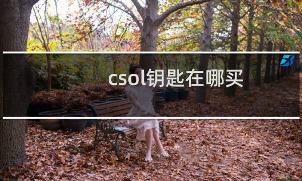 csol钥匙在哪买