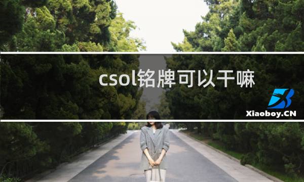 csol铭牌可以干嘛
