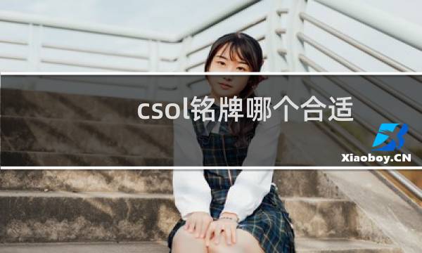 csol铭牌哪个合适