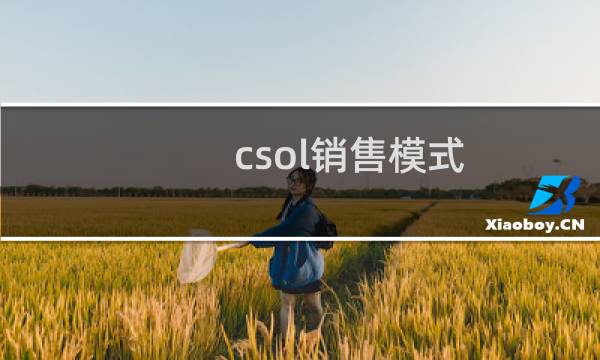 csol销售模式