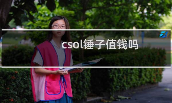 csol锤子值钱吗