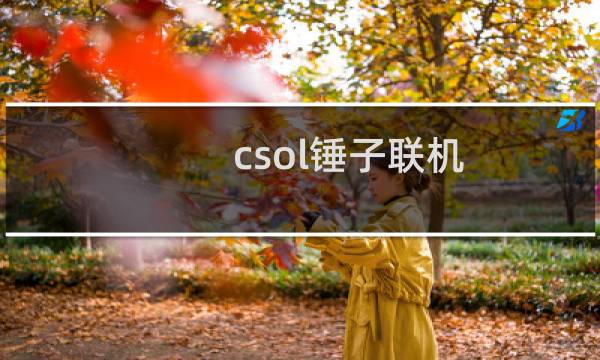 csol锤子联机