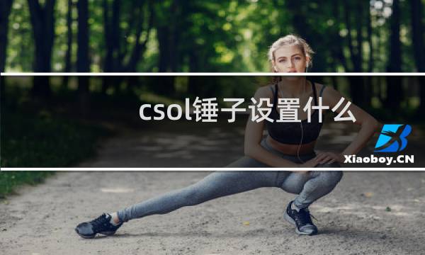 csol锤子设置什么