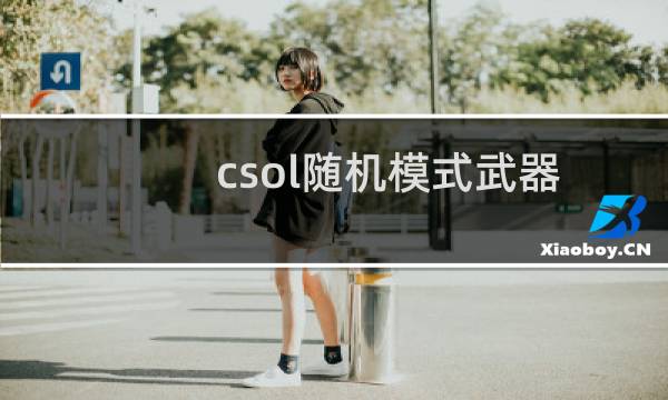 csol随机模式武器