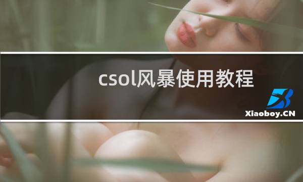 csol风暴使用教程