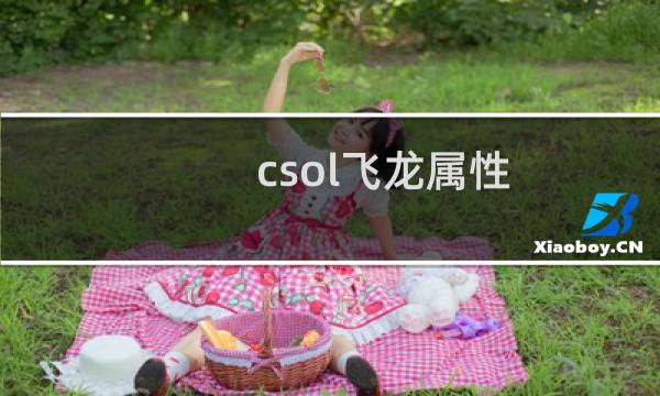 csol飞龙属性