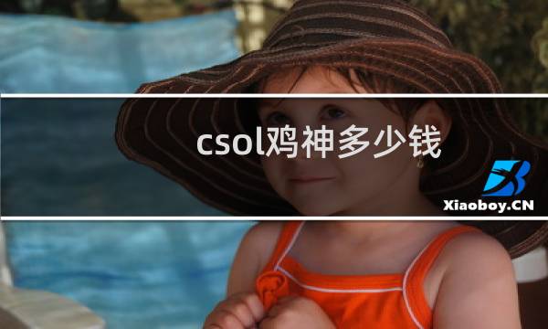 csol鸡神多少钱