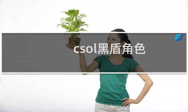 csol黑盾角色