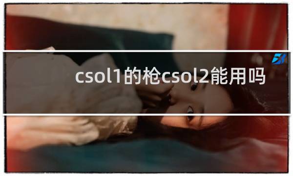 csol1的枪csol2能用吗