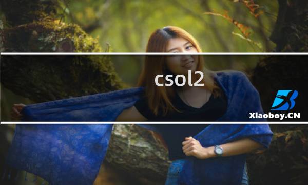 csol2 控制台