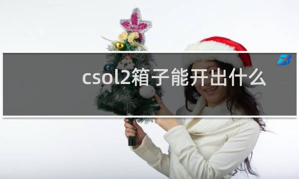csol2箱子能开出什么