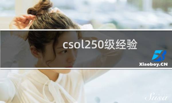 csol250级经验