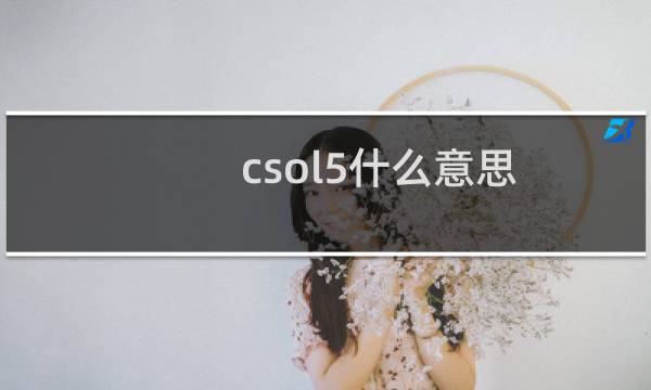 csol5什么意思