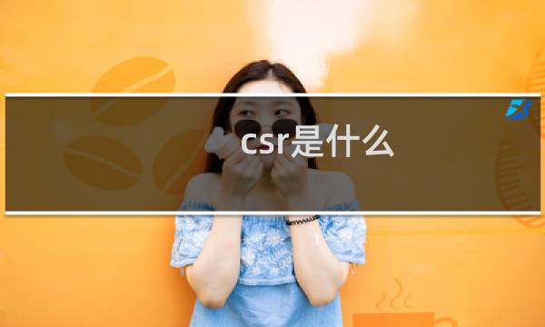 csr是什么图片