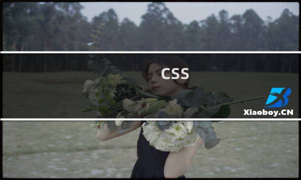 css  和 的区别