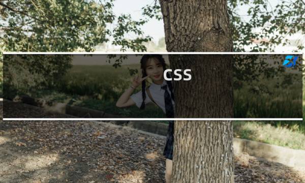 css  _ 什么意思