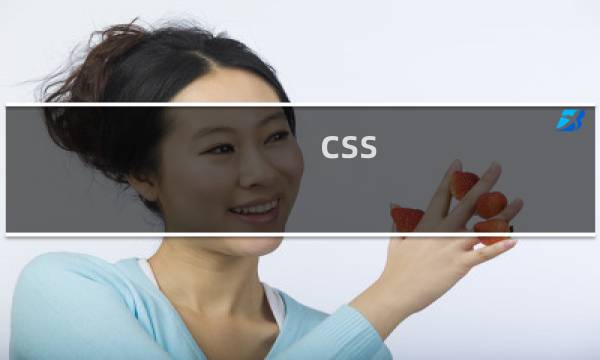 css  media是