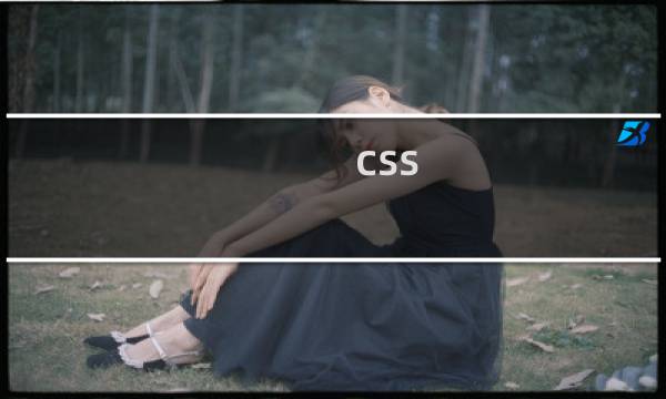 css 不起作用