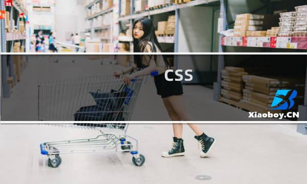 css 什么意思