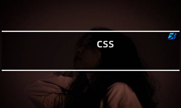 css 代表什么意思