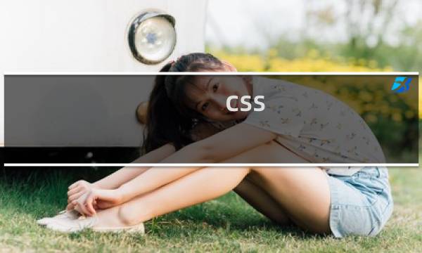 css 元素样式