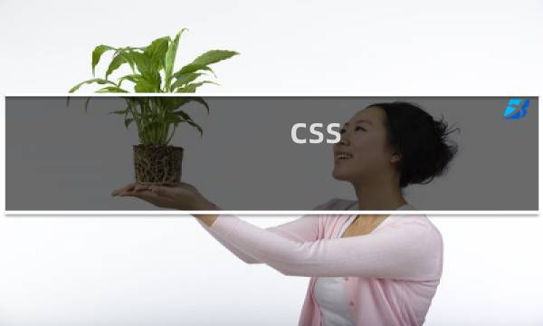 css 兼容性 教程