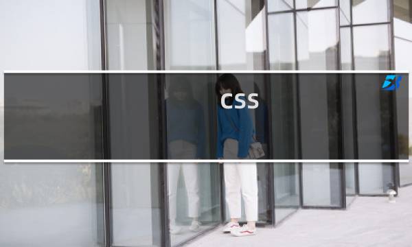 css 可见元素