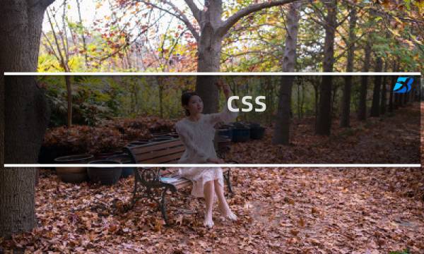 css 基础教程