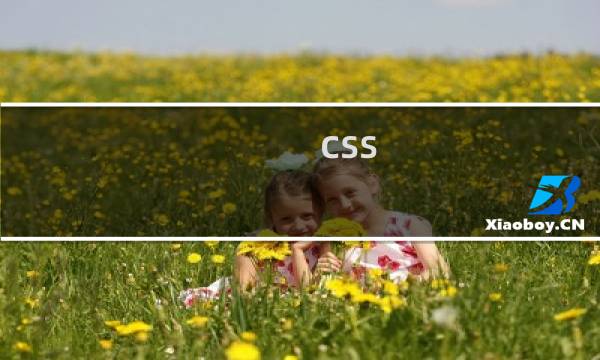 css 如何清除样式