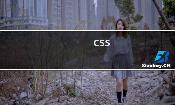 css 子元素居中
