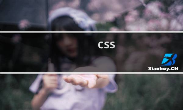 css 字母大小写